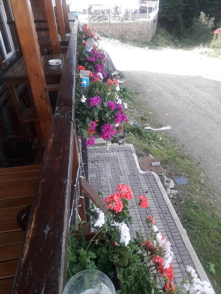 Pensiunea Turistică Alpin