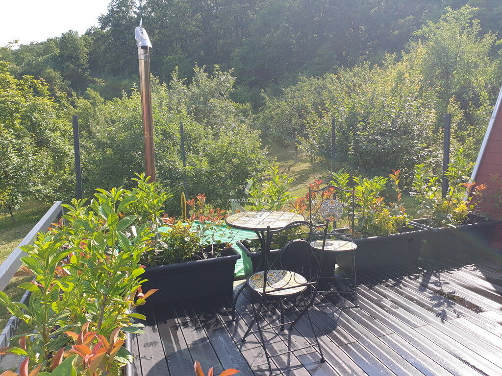 Casa din Pădure