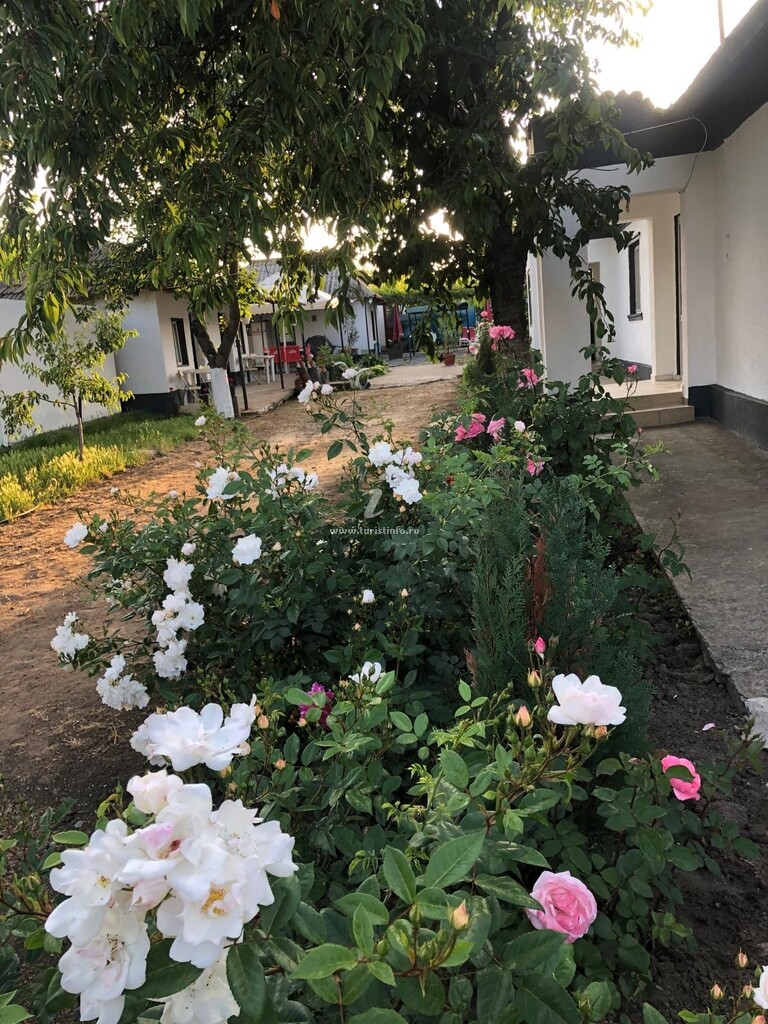 Casa Anne