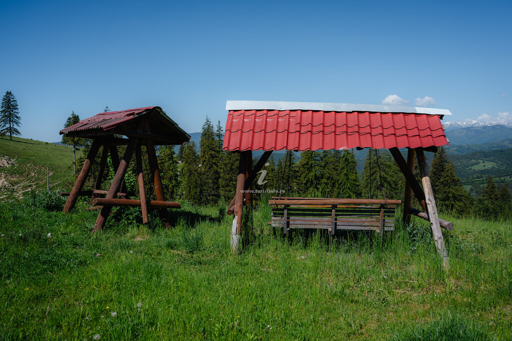 Vila Dealul Sasului
