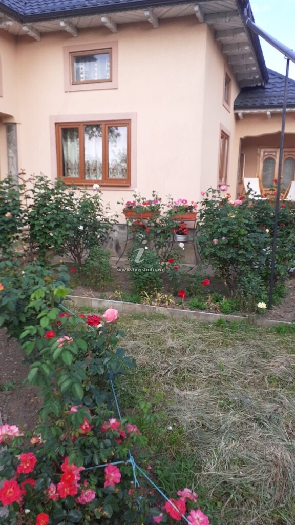 Camere de închiriat Casa Ilea