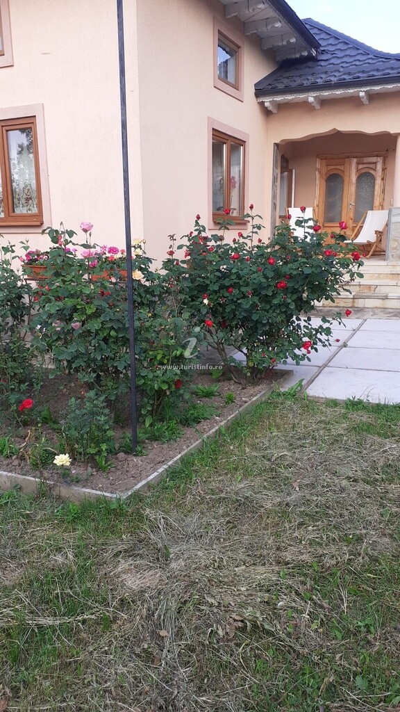 Camere de închiriat Casa Ilea
