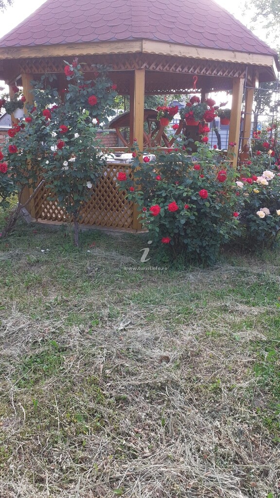 Camere de închiriat Casa Ilea