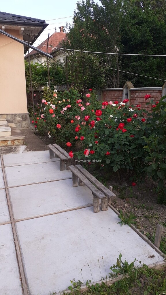 Camere de închiriat Casa Ilea