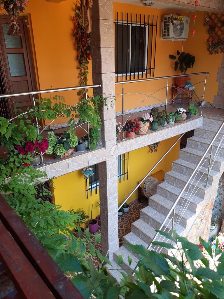Vila Iaia