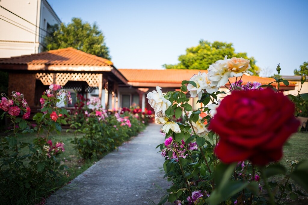 Casa Zenit