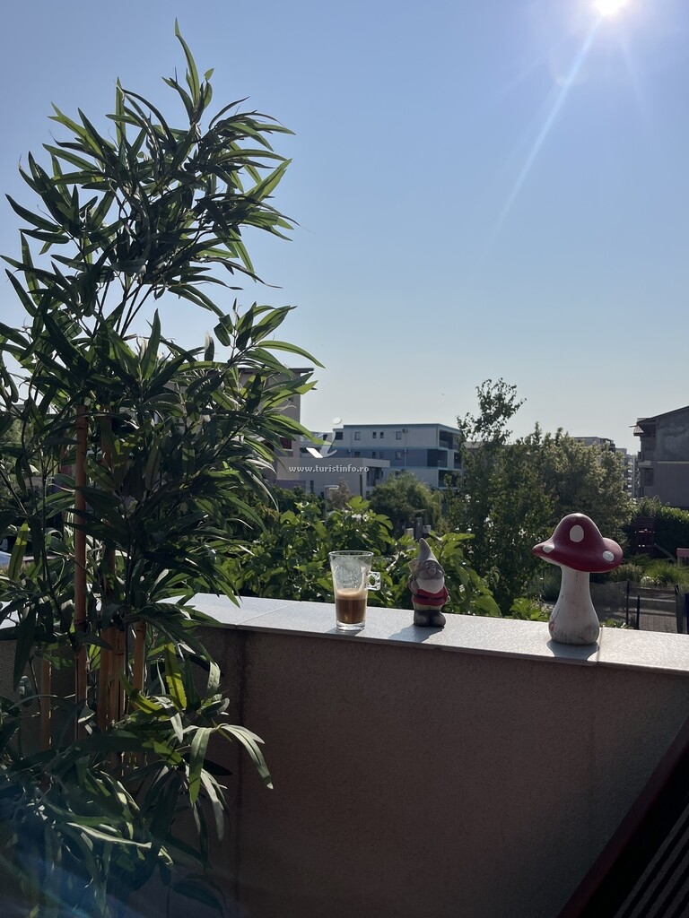 Apartament Alemareea