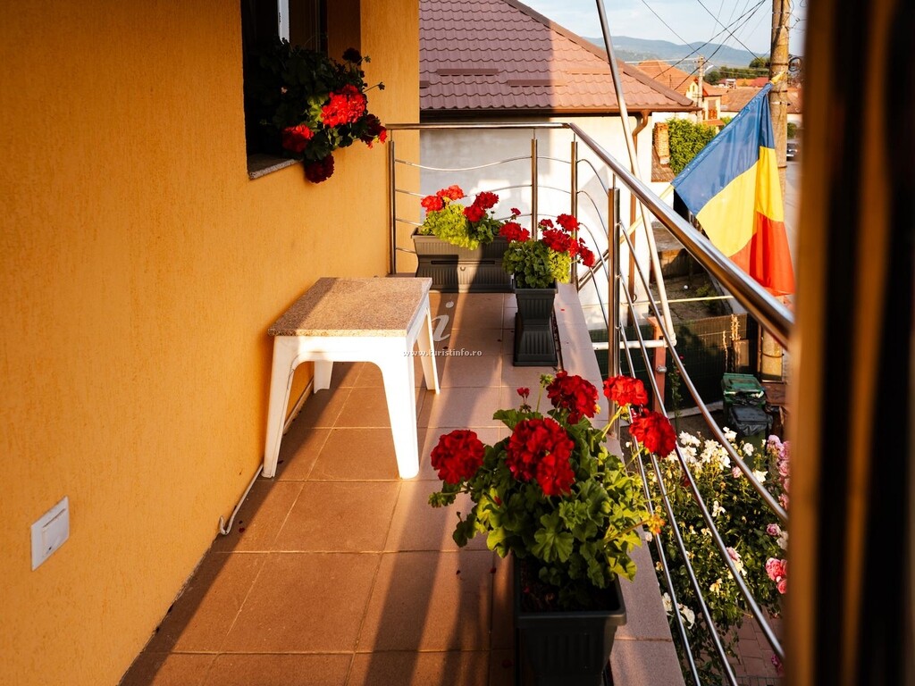 Vila Alina