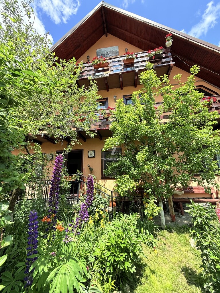 Camere de închiriat Casa Topliceanu