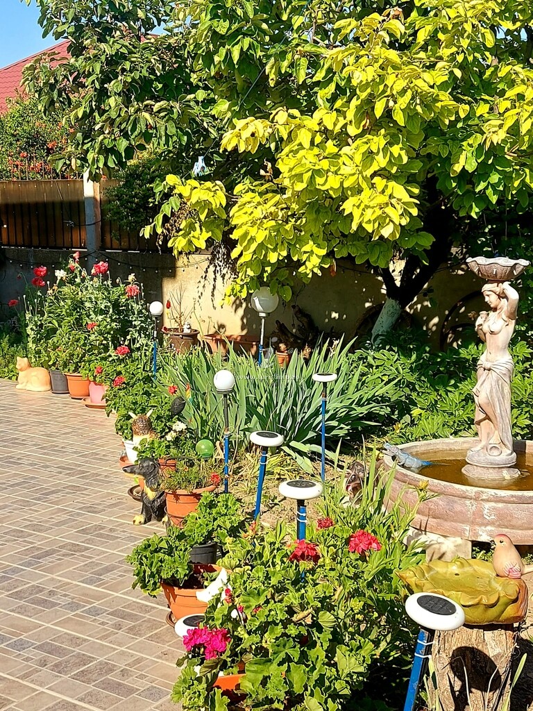 Casa Ela