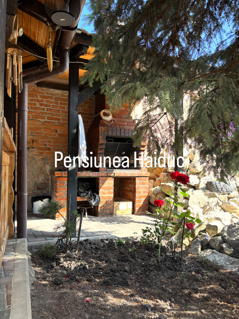 Pensiunea Haiduc
