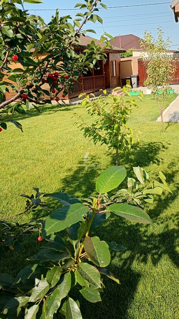 Casa Rustică