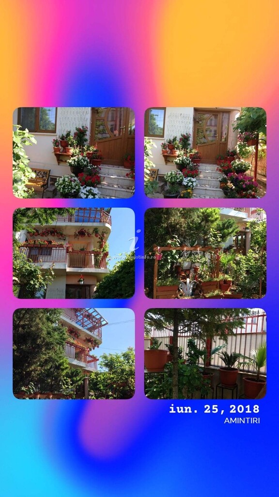 Vila Marini