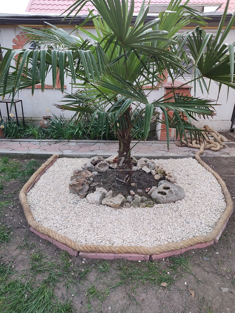 Vila Marini