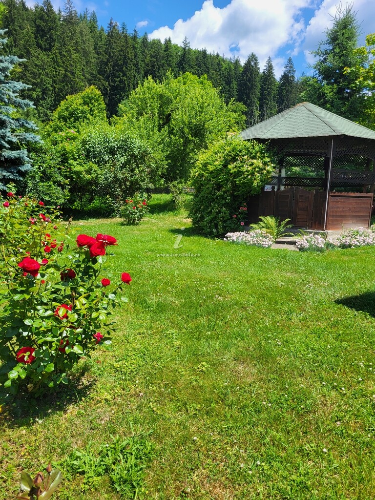 Camere de închiriat Casa Enea