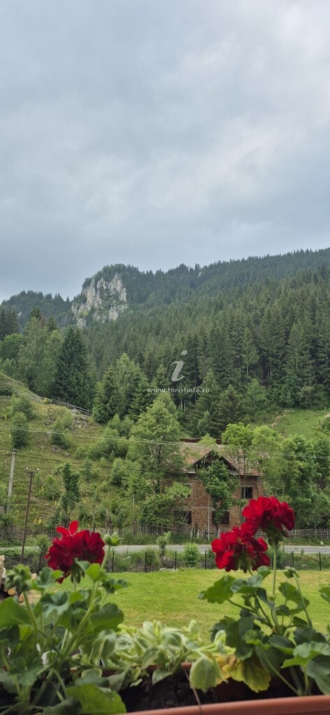 Casa Carina