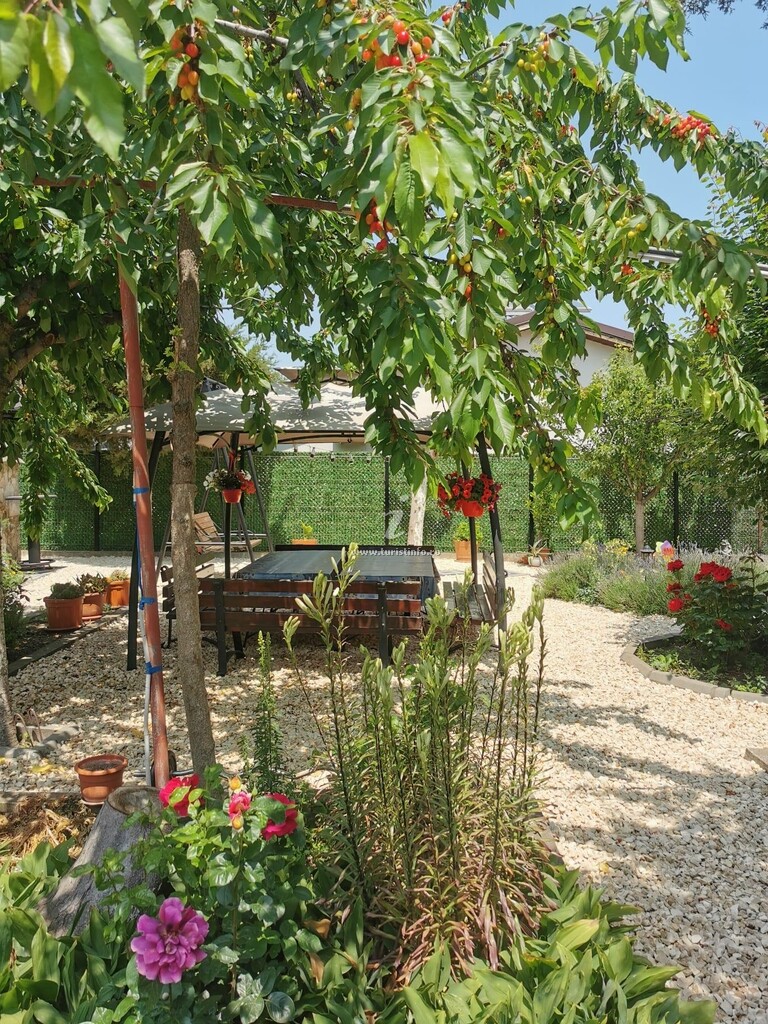 Camere de închiriat Casa Ellamy