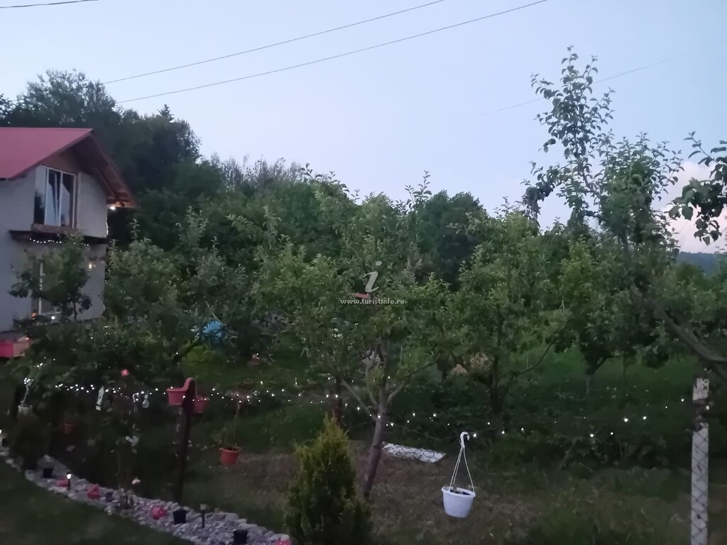 Casa Aly