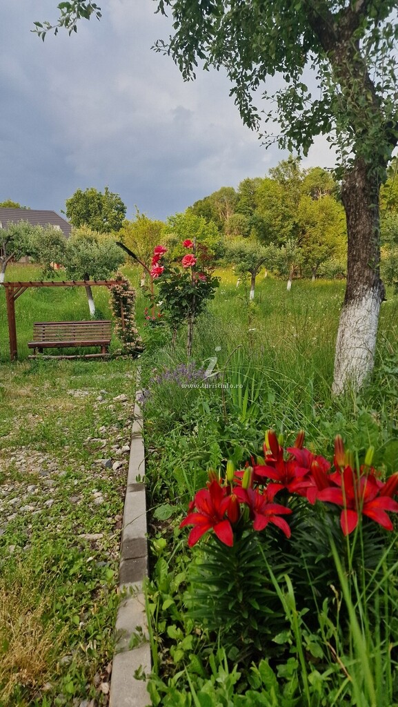 Cerdacul din Livadă