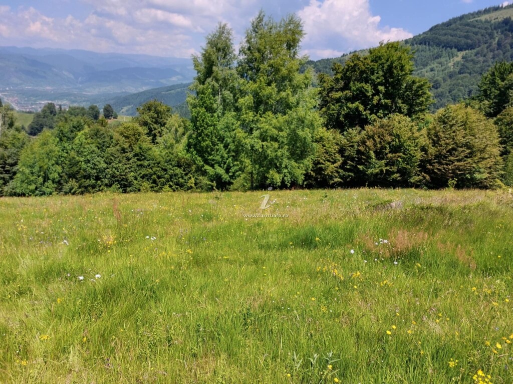Cabana Capra Neagră