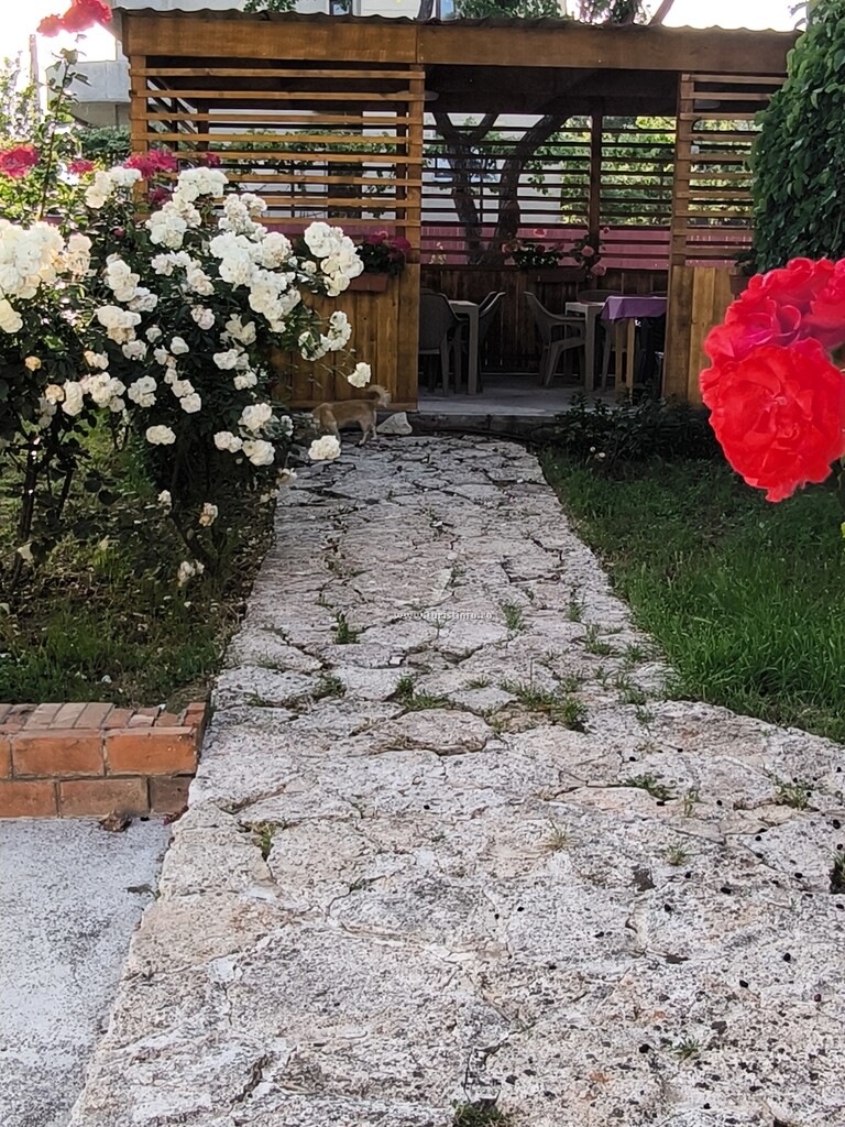 Casa Fifi