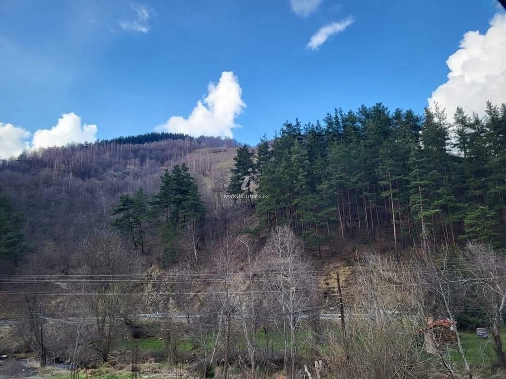 Căsuța Morii