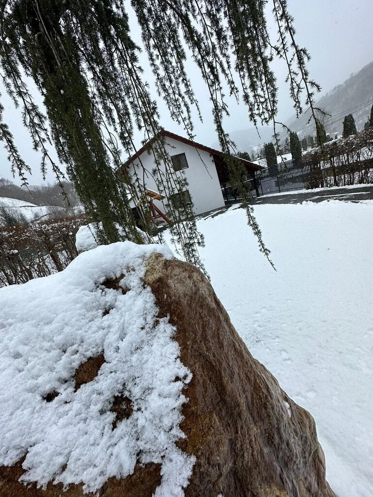 Căsuța Morii