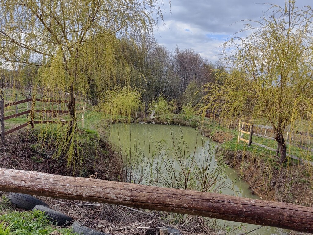 La Conacul lu` Băran