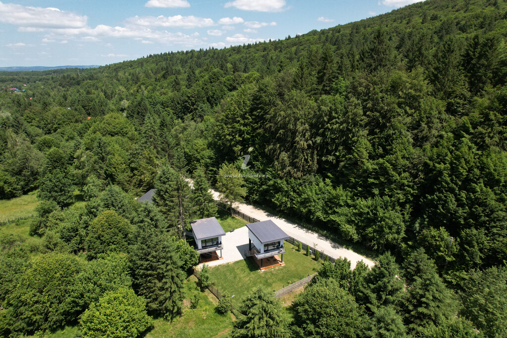 Bungalow Urban Forest House