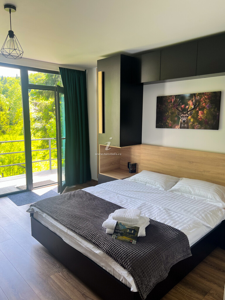 Bungalow Urban Forest House