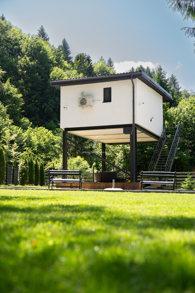 Bungalow Urban Forest House