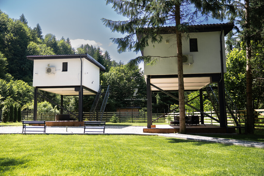 Bungalow Urban Forest House