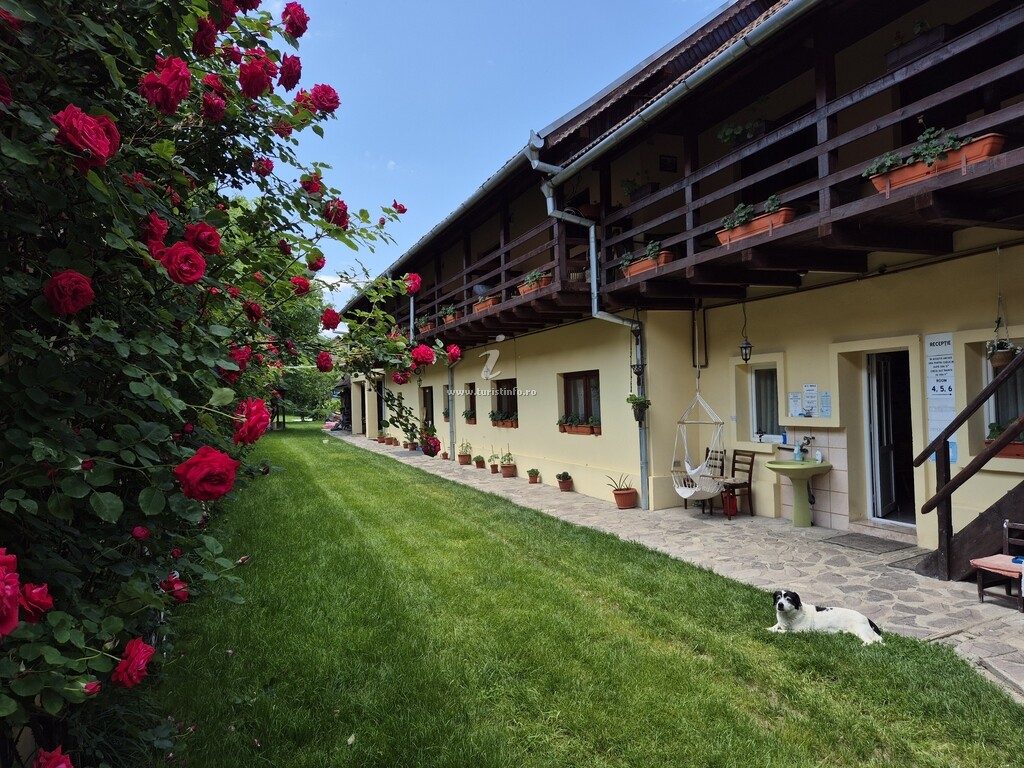 Pensiunea Leia