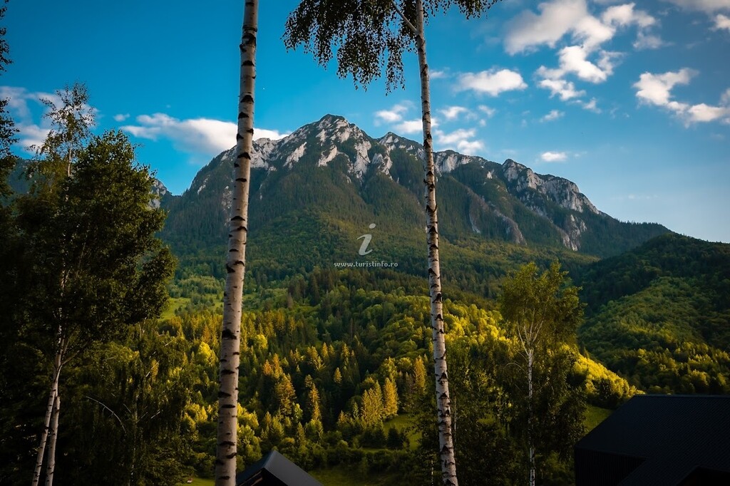 Cabana Mountain Escape Resort