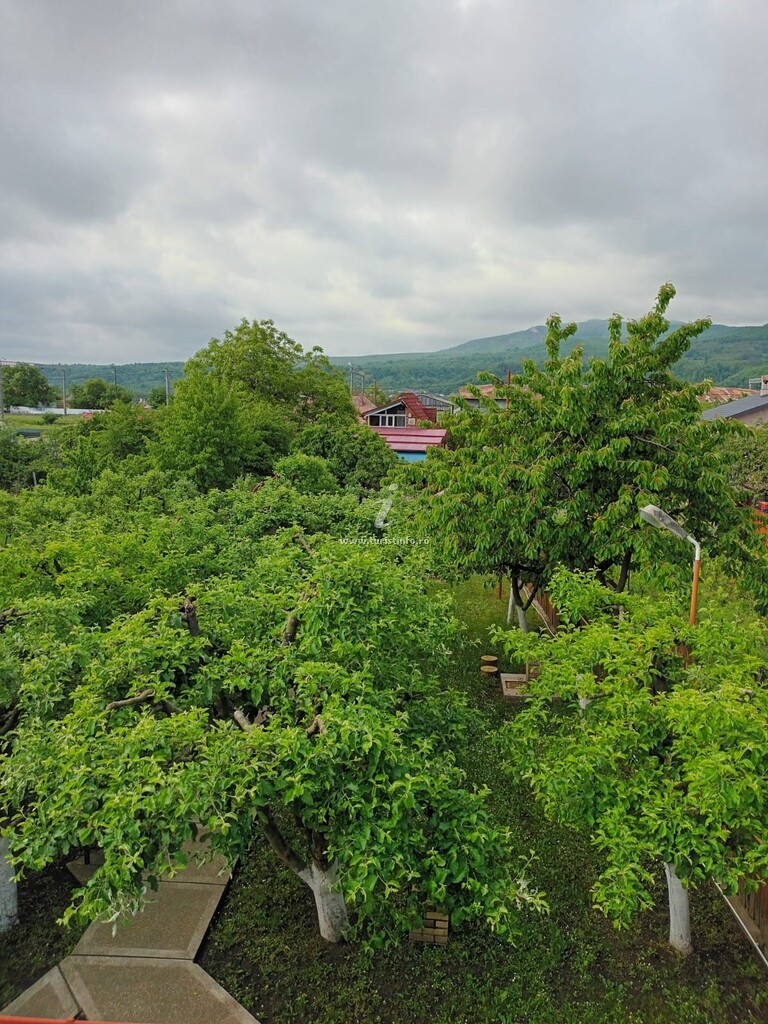 Casa din Livadă