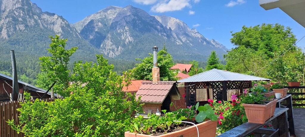 Casa Teomar