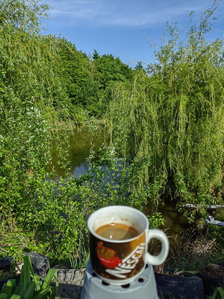 La Conacul lu` Băran
