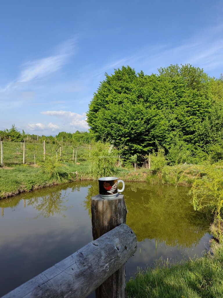 La Conacul lu` Băran