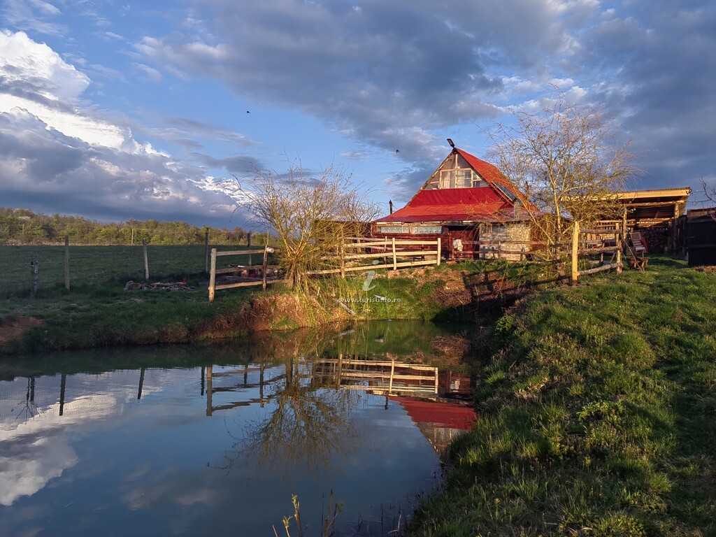 La Conacul lu` Băran