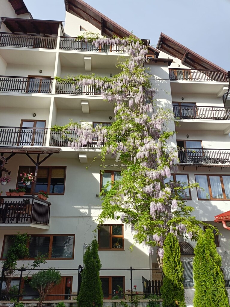 Pensiunea Casa Albă