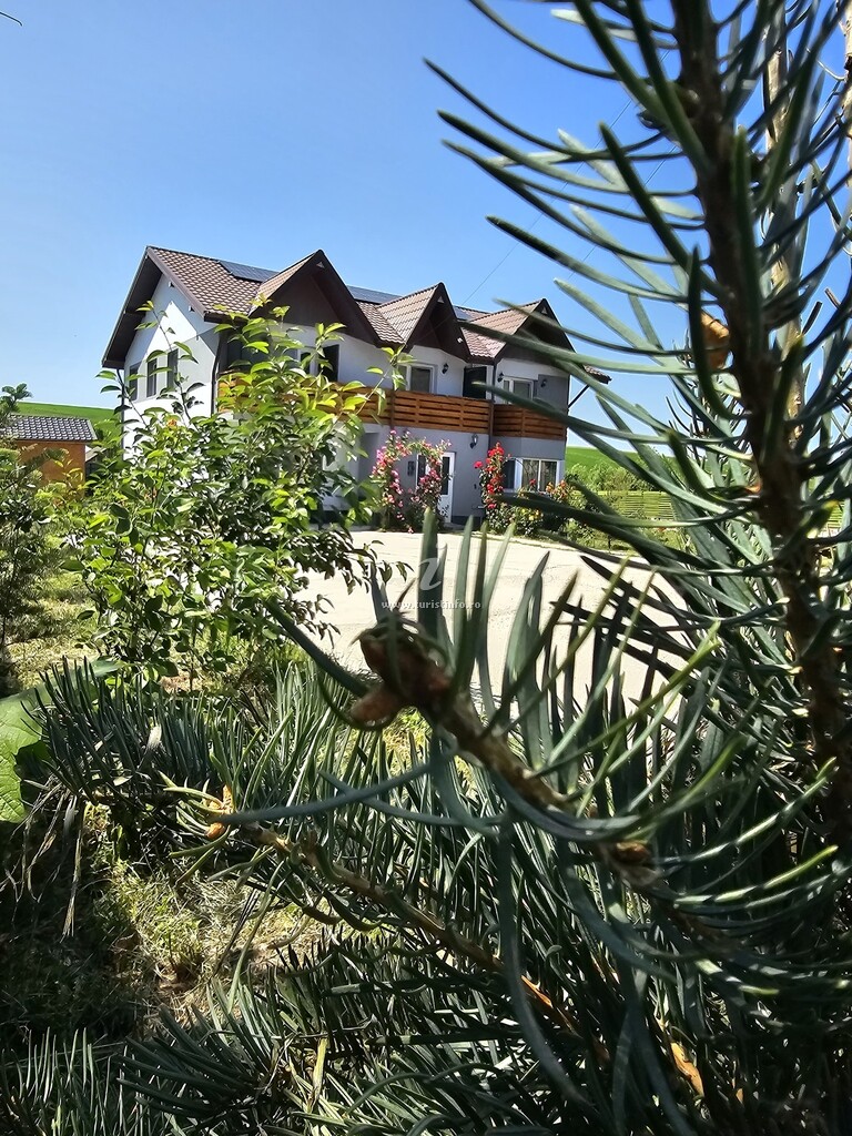 Cabana Ursu