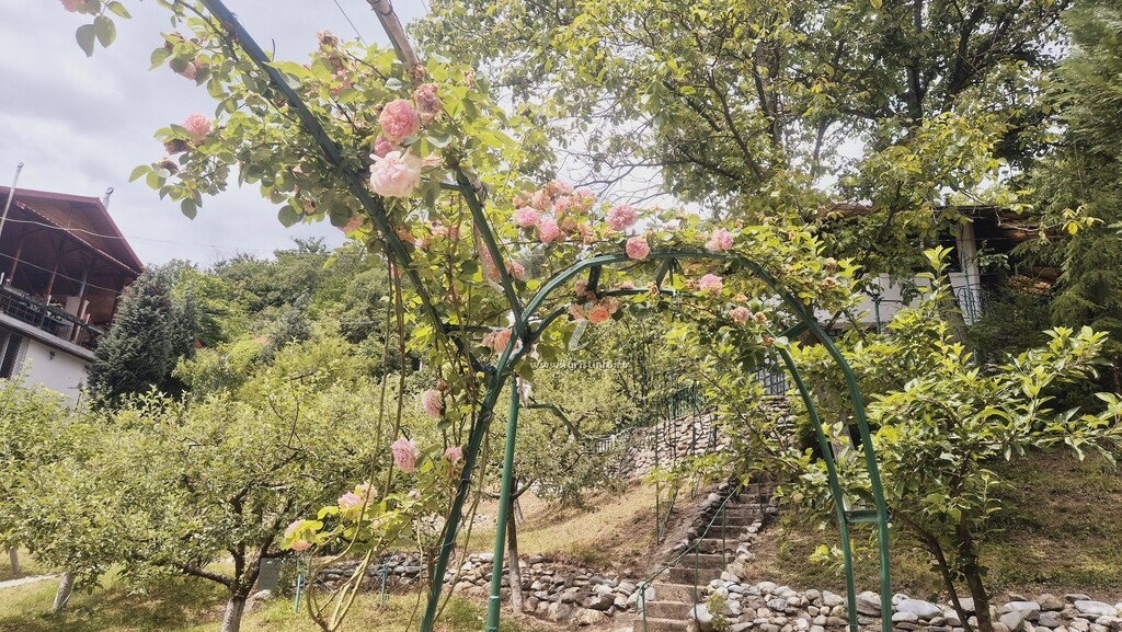 Cabana Grădina cu Stele