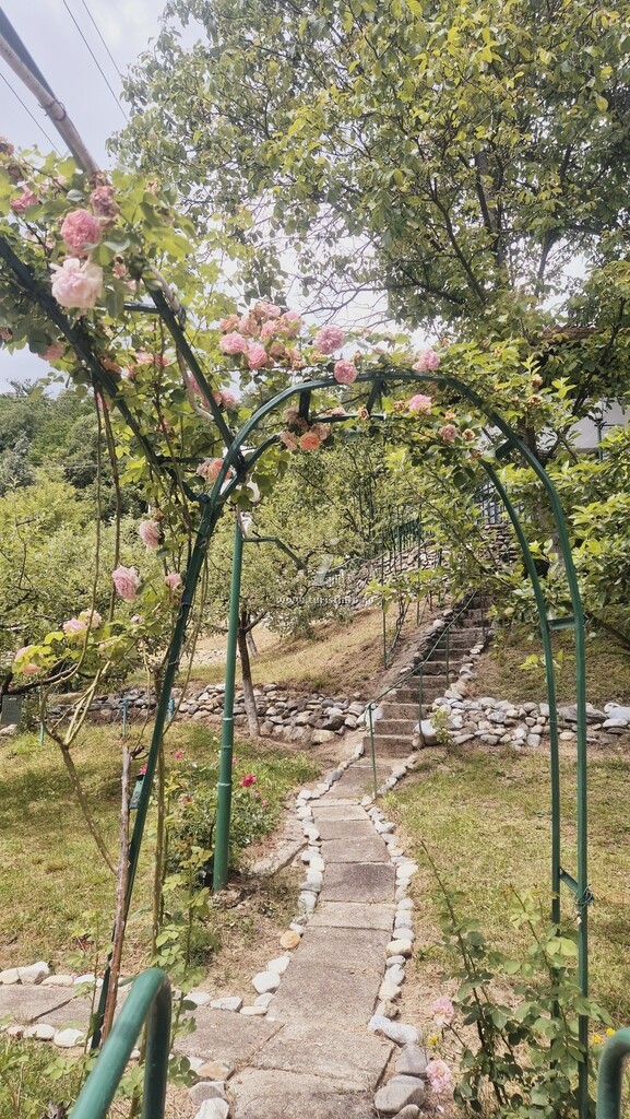Cabana Grădina cu Stele