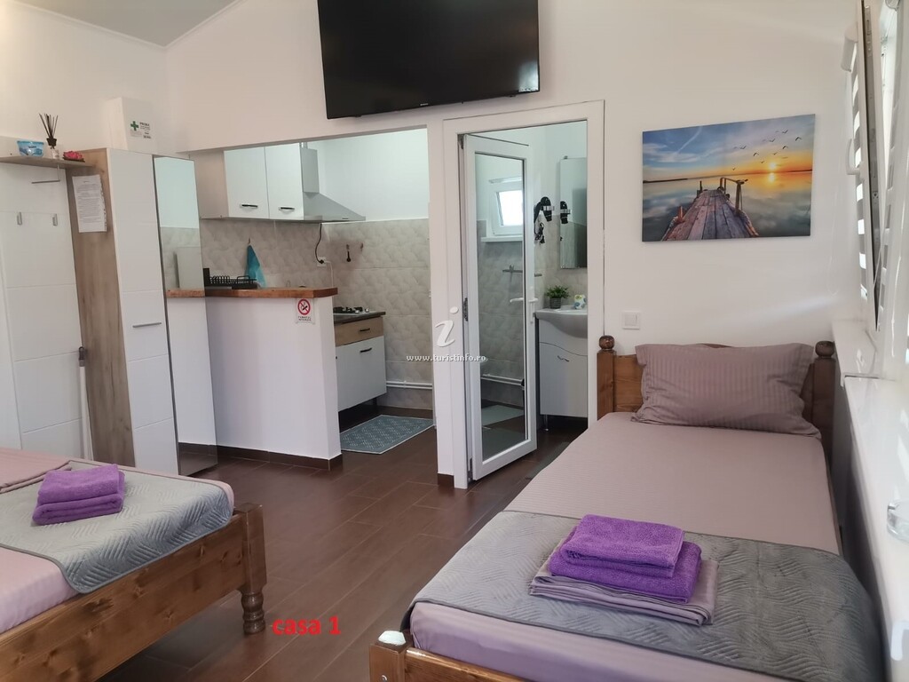 Casa de vacanță Casa Dașoveanu