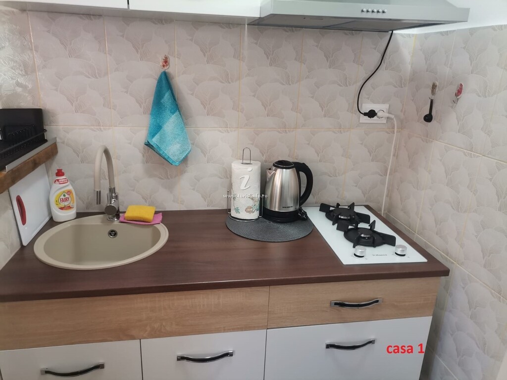 Casa de vacanță Casa Dașoveanu