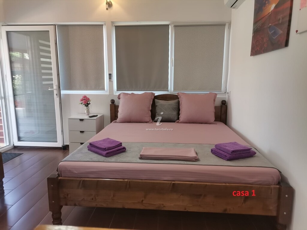 Casa de vacanță Casa Dașoveanu