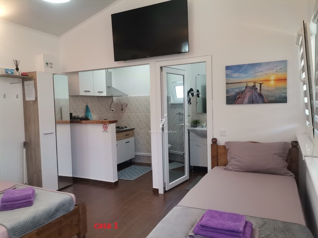 Casa de vacanță Casa Dașoveanu