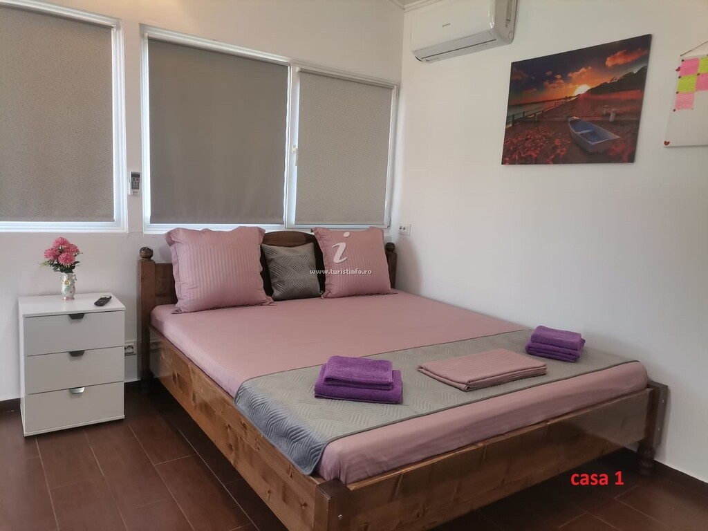 Casa de vacanță Casa Dașoveanu