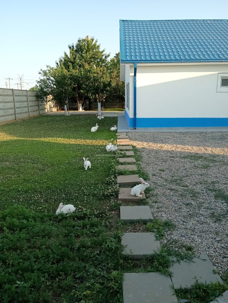 Casa Udrea