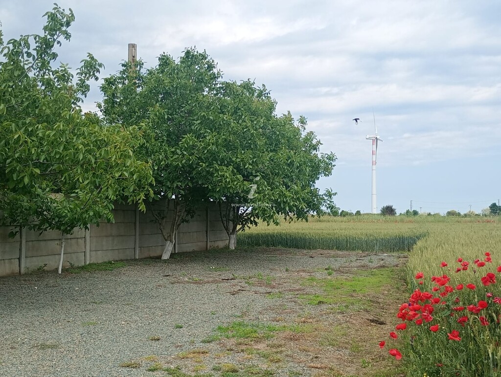 Casa Udrea